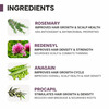 Dermatouch Rosemary Water Spray For Hair Growth| Advance 2% Actives Rosemary|200ml