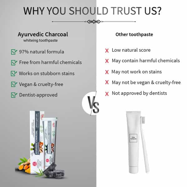 Ayouthveda Charcoal White Toothpaste 100 Gm