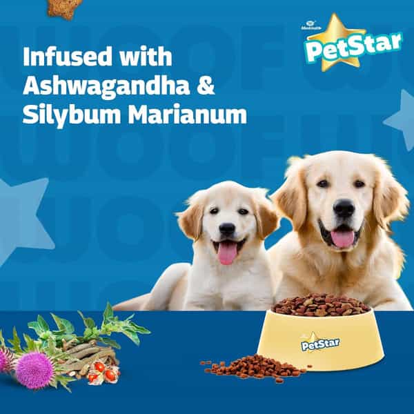 Petstar Mother And Baby 1 Kg Dry Dog Food