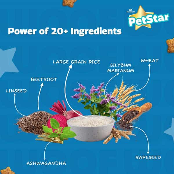 Petstar Mother And Baby 1 Kg Dry Dog Food