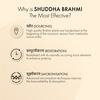 Dr. Vaidya's Shuddha Brahmi Tablet 60S P1