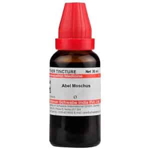 Dr. Willmar Schwabe India Abel Moschus Mother Tincture Q 30 Ml