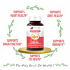 Bliss Welness Omega 369 Fish Oil Triple Strength For Brain Heart Supplement - 60 Softgel Capsules