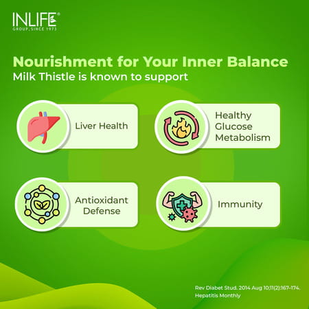 Inlife Milk Thistle Extract 800Mg | 80% Silymarin Liver Support Supplement - 60 Veg Capsules