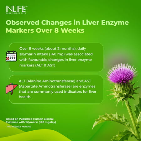 Inlife Milk Thistle Extract 800Mg | 80% Silymarin Liver Support Supplement - 60 Veg Capsules