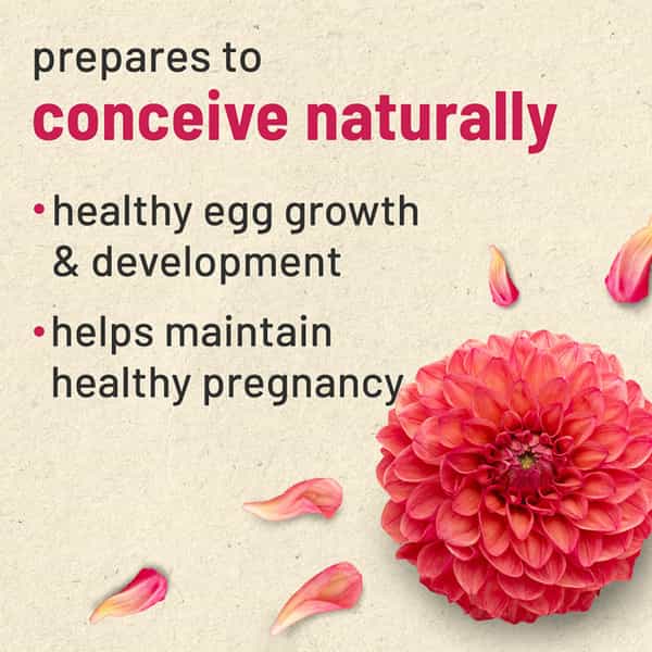 Gynovedafertility Supplements For Women.prenatal Multivitamin For Pregnancy.1 Bottle 240 Tablet