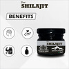 Earth King Pure Ayurvedic Shilajit/Shilajit Resin (Semi Liquid) Supports Vigor & Vitality - 20gm