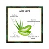 Good Vibes Purifying & Nourishing Aloe Vera Handwash Bottle Of 300 Ml