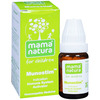 Dr. Willmar Schwabe India Munostim Globules 10 Gm