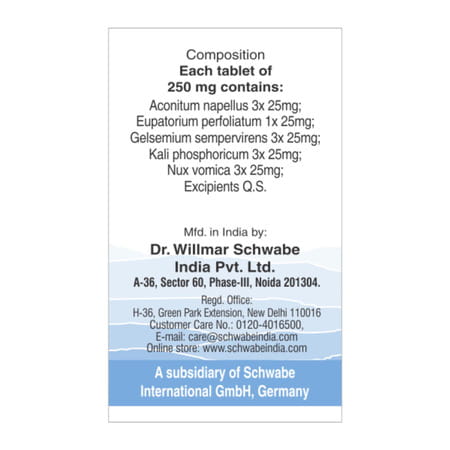 Dr. Willmar Schwabe India Alpha - Rc Respiratory Cong. 20gm