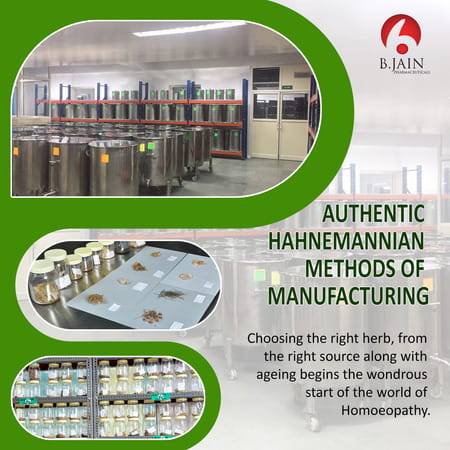 Bjain Ficus Indica Q Mother Tincture | 30ml