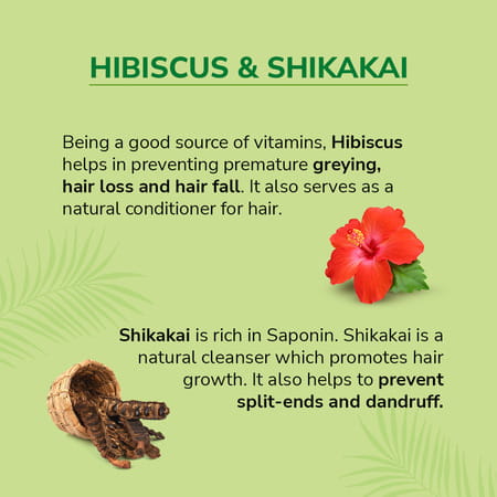 Nyle Naturals Damage Repair Anti Hairfall Shampoo,With Shikakai & Hibiscus,Gentle Shampoo,400ml