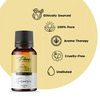 Pure Chief Turmeric Essential Oil Control Dandruff Hair Loss Scalp Issues- 15ml
