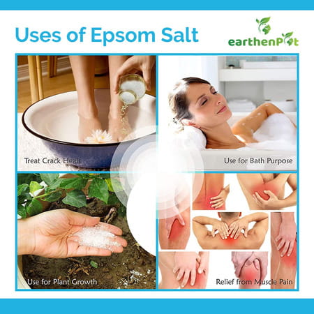 West-Coast Earthen Pot Epsom Salt For Relaxation (Pack Of 1)