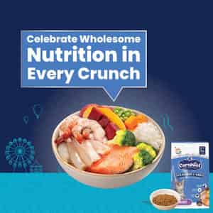 Carniwel Ocean Fish & Antarctic Krill Adult Dry Cat Food 1kg | Fresh & Natural Ingredients For Cats