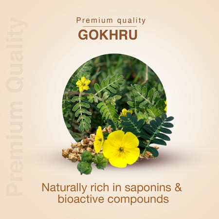 Ayouthveda Gokhru (Tribulus) Powder - 200g