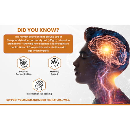 Sharpz Brain Supplement I Phospholipid (Phosphatidylserine) Iron Supplement 30 Chewable Tablets