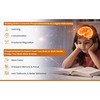 Sharpz Brain Supplement I Phospholipid (Phosphatidylserine) Iron Supplement 30 Chewable Tablets