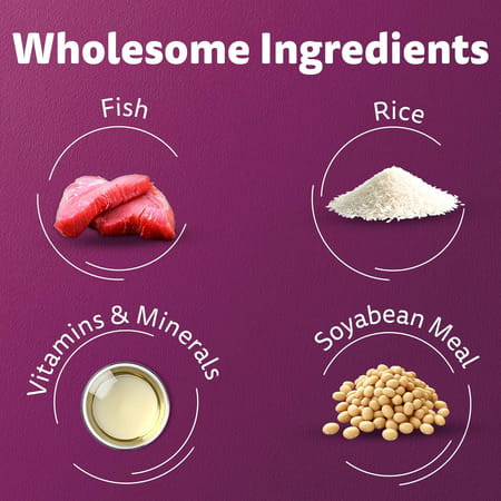 Whiskas Adult (1+ Years) Dry Cat Food | Ocean Fish Flavour | 7 Kg