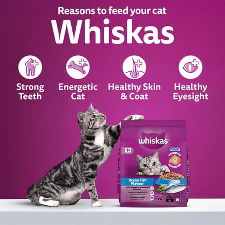 Whiskas Adult (1+ Years) Dry Cat Food | Ocean Fish Flavour | 7 Kg