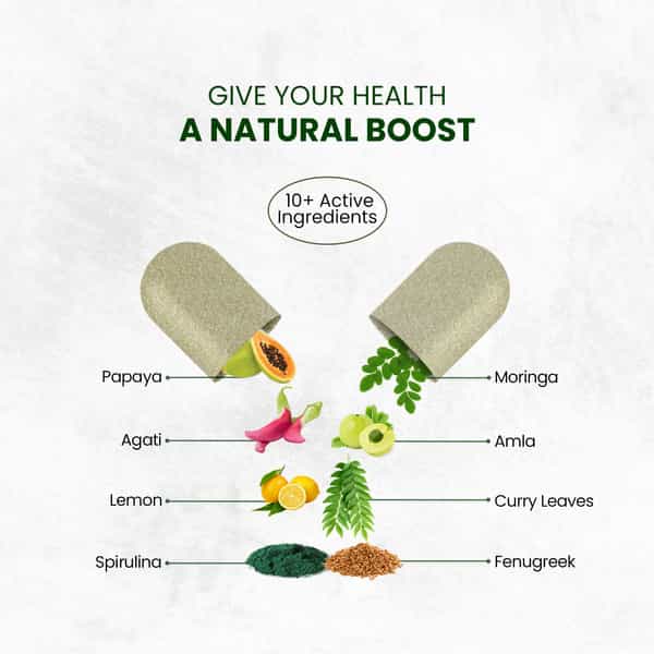 Vlado's Himalayan Organics Plant-Based Vitamin B1 | (120 Capsules)