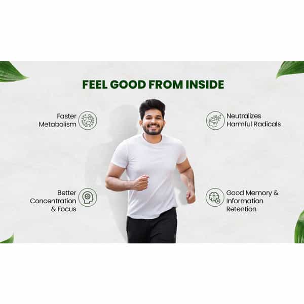 Vlado's Himalayan Organics Plant-Based Vitamin B1 | (120 Capsules)