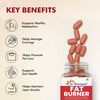 Dr. Morepen Fat Burner Tablets | 100% Natural & Safe | For Men & Women 60 Tablets Pack Of 2