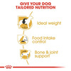 Royal Canin Beagle Adult Dog Food | 3 Kg