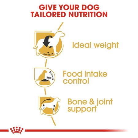Royal Canin Beagle Adult Dog Food | 3 Kg