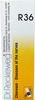 Dr. Reckeweg R 36 Nervous Disease Drops 22 Ml