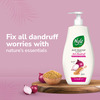 Nyle Naturals Onion And Methi Anti Dandruff 2 In1 Shampoo With Active Conditioner | 800Ml