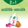 Nyle Naturals Onion And Methi Anti Dandruff 2 In1 Shampoo With Active Conditioner | 800Ml