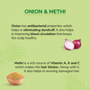 Nyle Naturals Onion And Methi Anti Dandruff 2 In1 Shampoo With Active Conditioner | 800Ml
