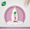 Nyle Naturals Onion And Methi Anti Dandruff 2 In1 Shampoo With Active Conditioner | 800Ml