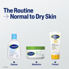 Cetaphil Gentle Skin Cleanser 118 Ml