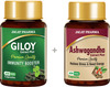 Jagat Pharma Pure Giloy & Ashwagandha 250Mg Capsules | Boost Immunity Relives Anxite | Combo Pack