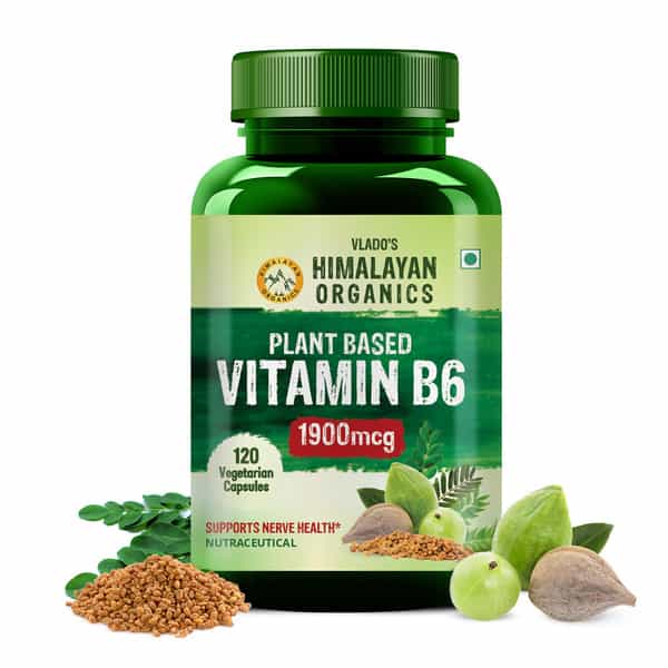 Vlado's Himalayan Organics Plant-Based Vitamin B6 - (120 Capsules)