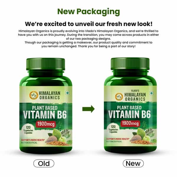 Vlado's Himalayan Organics Plant-Based Vitamin B6 - (120 Capsules)