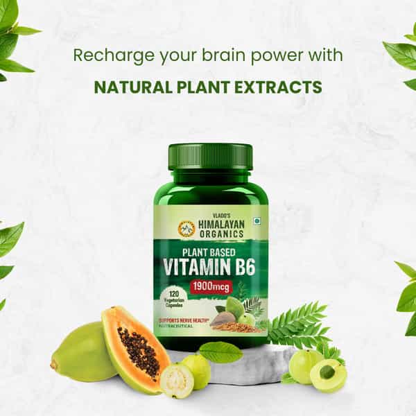 Vlado's Himalayan Organics Plant-Based Vitamin B6 - (120 Capsules)