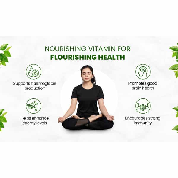 Vlado's Himalayan Organics Plant-Based Vitamin B6 - (120 Capsules)