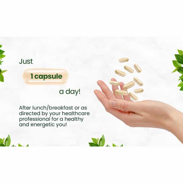Vlado's Himalayan Organics Plant-Based Vitamin B6 - (120 Capsules)