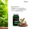 Sheopal'S Diabdex Supports Liver Health And Blood Sugar Balance With Liver X Diabdex Capsules.