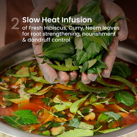 Nat Habit Trileaf Rosemary Shampoo & Conditioner Combo Herbal Shampoo 400 Ml