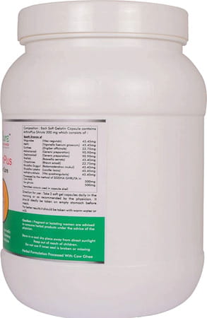 Naturz Ayurveda Arthroplus - 900 Capsules