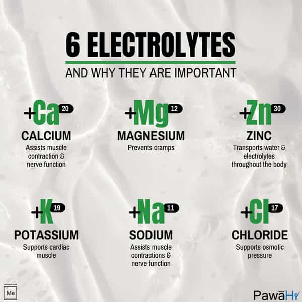 Pawahy Isotonic Energy Drink Endurance Workout Electrolyte Drink With 2:1:1 Bcaa- 1Kg (Green Mango)