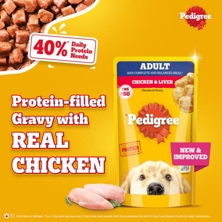 Pedigree Adult Wet Dog Food | Chicken & Liver Chunks In Gravy | 130 G (Pack Of 12)