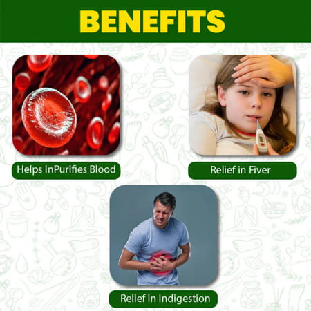 Cipzer Arq E Shahtara 500ml | Herbal Tonic For Fever Relief & Immunity Support