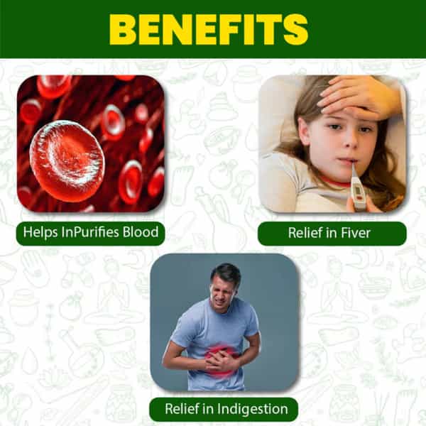 Cipzer Arq E Shahtara 500Ml | Herbal Tonic For Fever Relief & Immunity Support