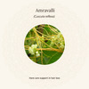 Amarantha Hair Oil