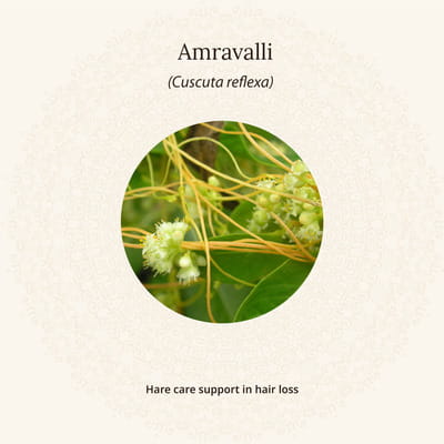 View product image 4